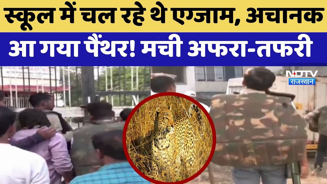 Jaipur News: School में चल रहे थे Exams, अचानक आ गया Panther! मची अफरा-तफरी | Latest News