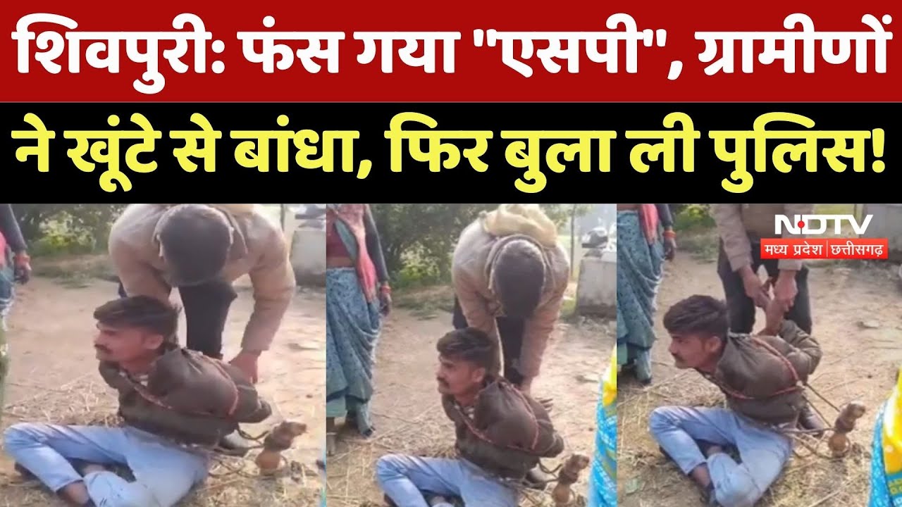 Shivpuri News: कुख्यात बदमाश SP Raja को गांववालों ने खूंटे से बांधा, देखिए ये Video | MP Crime News