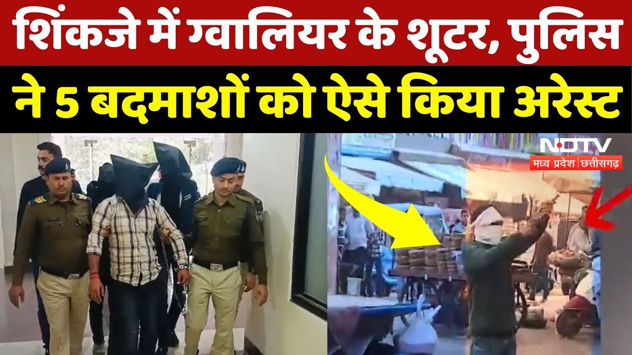 Gwalior Crime News: पुलिस ने 5 बदमाशों को ऐसे किया गिरफ्तार, हथियार और करतूस भी जब्त! MP News