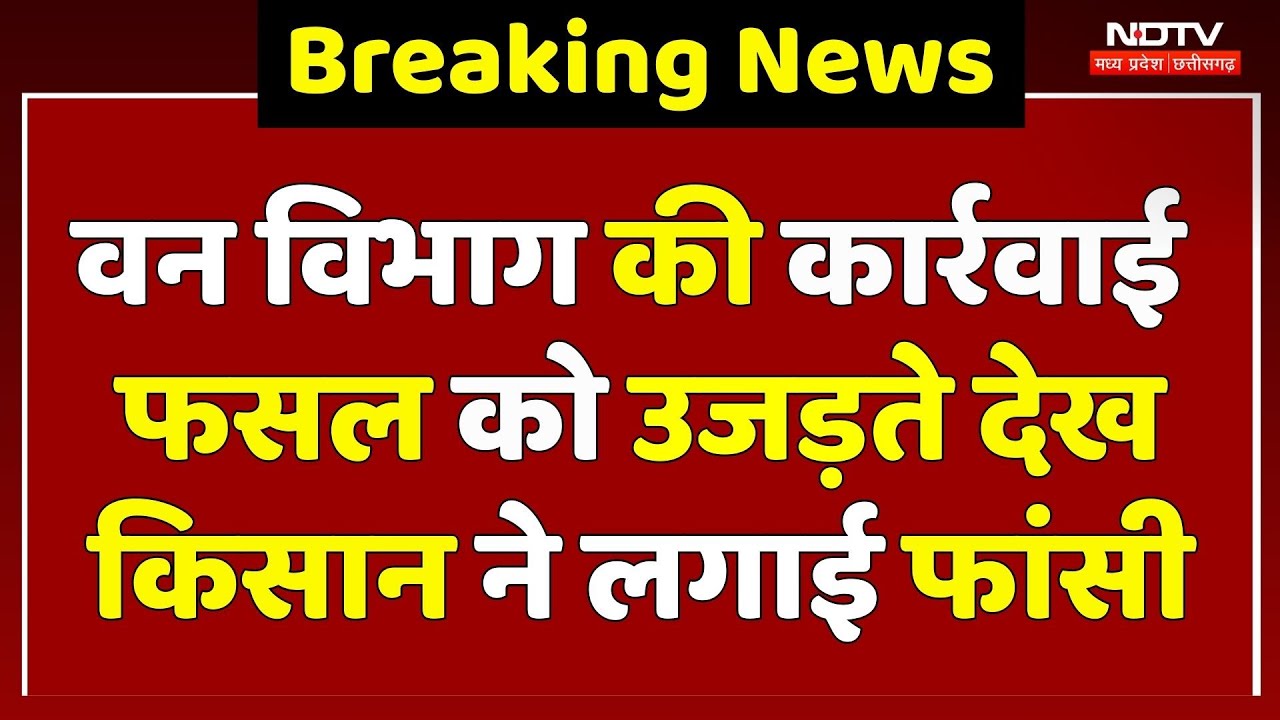 Chhatarpur में Forest Department की कार्रवाई, फसल उजड़ते देख बुजुर्ग Farmer ने लगाई फांसी! MP News