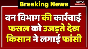Chhatarpur में Forest Department की कार्रवाई, फसल उजड़ते देख बुजुर्ग Farmer ने लगाई फांसी! MP News
