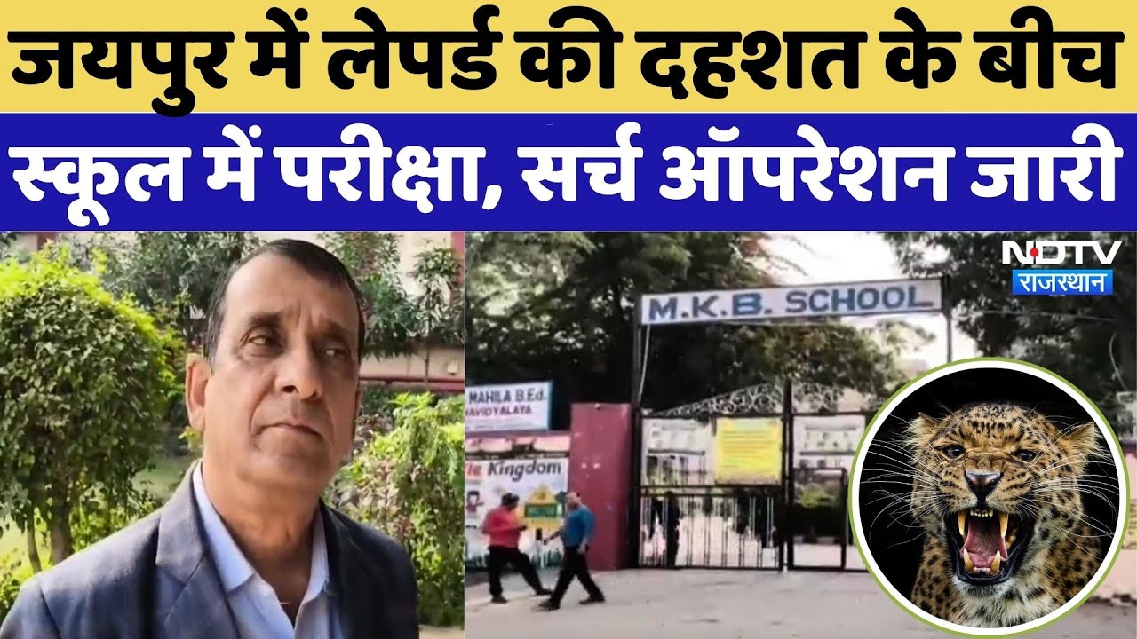 Leopard Movement in Jaipur: लोगों में दहशत, Searching Operation जारी | Rajasthan | Panther Attack