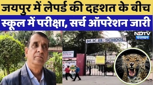 Leopard Movement in Jaipur: लोगों में दहशत, Searching Operation जारी | Rajasthan | Panther Attack