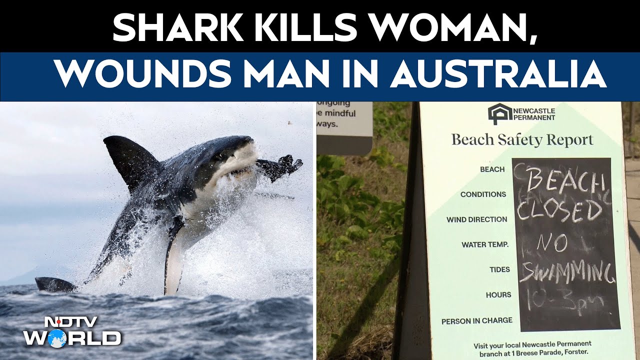Shark Attack Video | Shark Kills A Woman & Wounds Another Swimmer In Australia