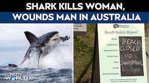 Shark Attack Video | Shark Kills A Woman & Wounds Another Swimmer In Australia