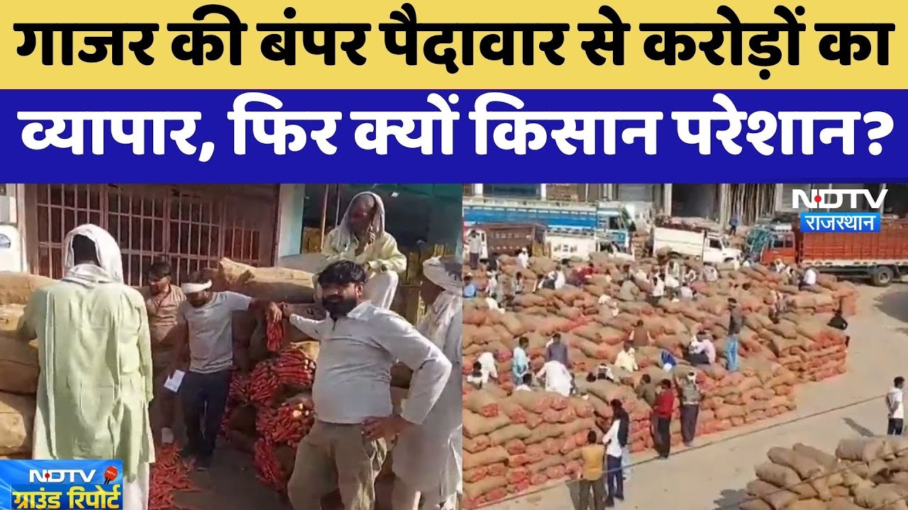 Kotputli: Red Carrot की बंपर पैदावार से करोड़ों का व्यापार, फिर क्यों किसान परेशान? | Farmers Issue