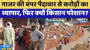 Kotputli: Red Carrot की बंपर पैदावार से करोड़ों का व्यापार, फिर क्यों किसान परेशान? | Farmers Issue