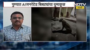 Pune Bibtya Case | AI जनरेटेड बिबट्यांचा धुमाकूळ, सोशल मीडियावर तुफान व्हायरल