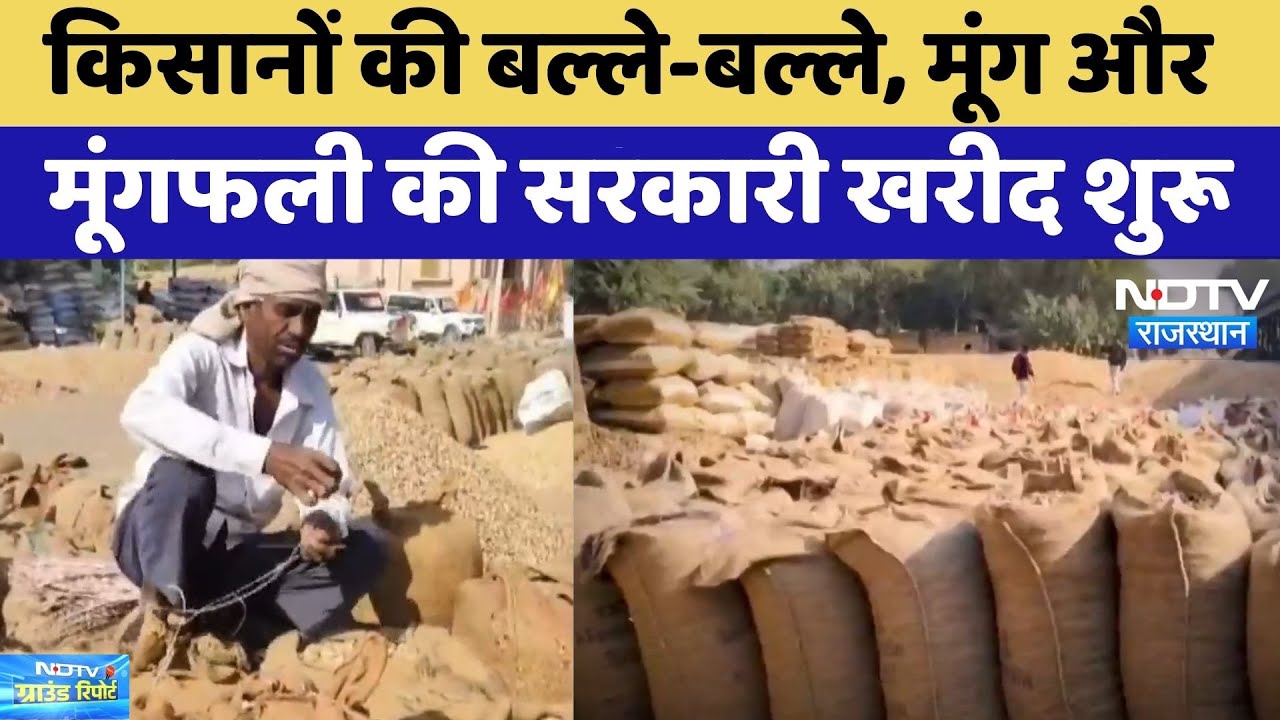 Churu News: किसानों की बल्ले-बल्ले, Moong और मूंगफली की सरकारी खरीद शुरू | Latest News | Rajasthan