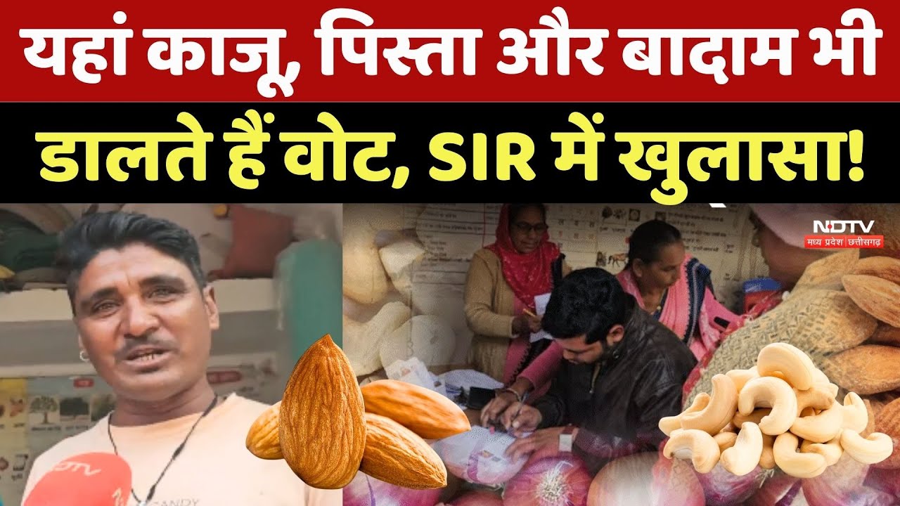 SIR In MP: यहां काजू, पिस्ता और बादाम भी डालते हैं वोट, SIR में सामने आए चौंकाने वाले नाम