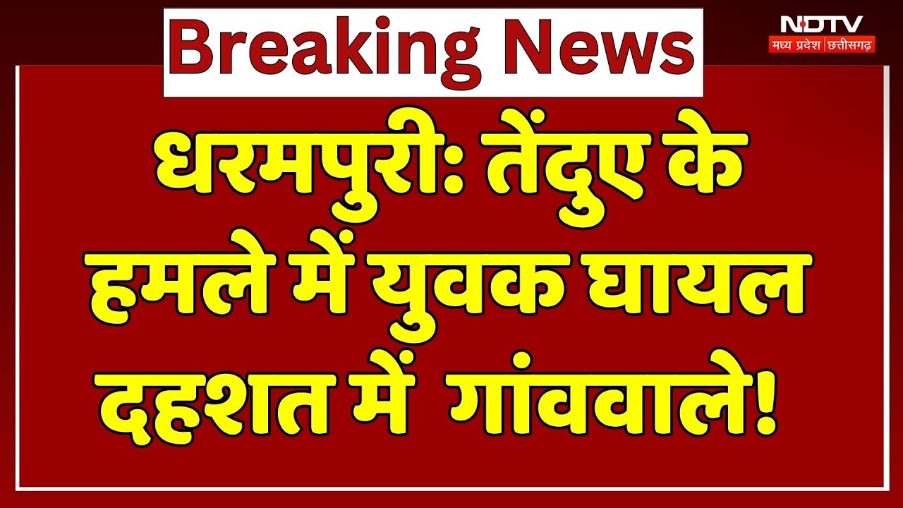 Dharampuri में तेंदुए Leopard का आंतक! आदिवासी युवक पर किया Attack, दहशत में गांववाले! MP News
