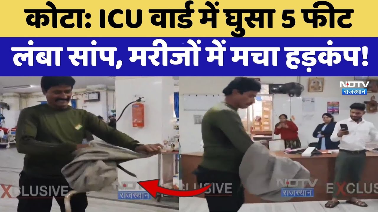 Kota News: ICU Ward में घुसा 5 फीट लंबा Snake, मरीजों में मचा हड़कंप! | Latest News