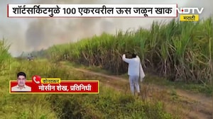 Sambhajinagar | शॉर्टसर्किटमुळे 100 एकर ऊस जळून खाक, संभाजीनगरच्या पैठण तालुक्यातील घटना | NDTV मराठ