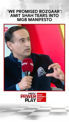 "We Promised Rozgaar": Amit Shah Tears Into Mahagathbandhan Manifesto