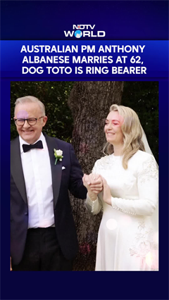 Anthony Albanese News | Australian PM Anthony Albanese Marries At 62, Dog Toto Is Ring Bearer