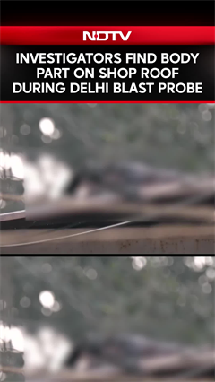 Delhi Blast Probe: Human Remains Recovered From Shop Rooftop