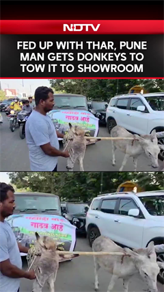 Fed Up With Thar Breaking Down, Pune Man Gets Donkeys To Pull It To Showroom In Viral Video