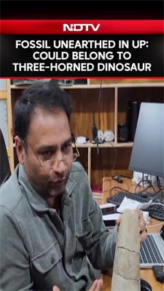 Uttar Pradesh News | Fossil Unearthed In Saharanpur Could Belong To Three-Horned Dinosaur
