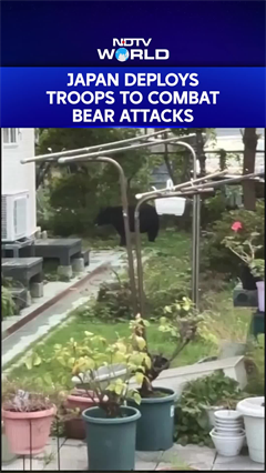 Troops Sent to Northern Japan to Help Stop Bear Attacks After Record Casualties