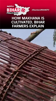 Makhana Farmers Speak Out: Ground Reality