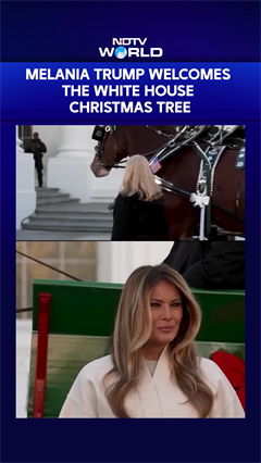 US First Lady Melania Trump Welcomes Christmas Tree To White House