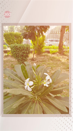 OnePlus 15 Camera Test