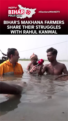 Bihar's Makhana Farmers Share Their Struggles With Rahul Kanwal