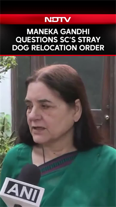 Maneka Gandhi Questions Supreme Court's Stray Dog Relocation Order