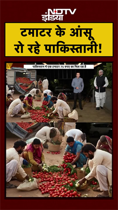 Syed Suhail | टमाटर के आंसू रो रहे Pakistani #shorts #ytshorts #pakistan #asimmunir #shahbazsharif