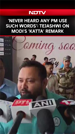 Never Heard Any PM Use Such Words: Tejashwi Yadav On PM Modi's 'Katta' Remark