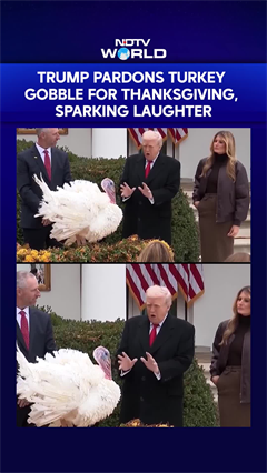 Trump Pardons Turkey Gobble For Thanksgiving, Sparking Laughter