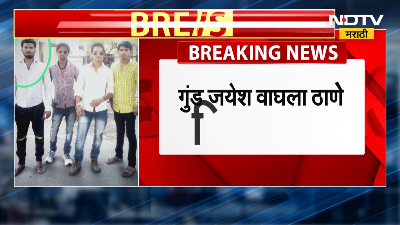 Raigad Climate Update | गुलाबी थंडीची रायगडकरांना चाहुल, पहाटेपासून सर्वत्र दाट धुक्याची चादर