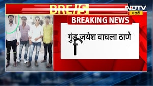 Raigad Climate Update | गुलाबी थंडीची रायगडकरांना चाहुल, पहाटेपासून सर्वत्र दाट धुक्याची चादर