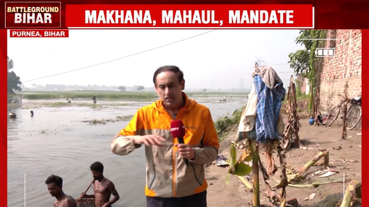 Erratic Prices, Meagre Margins: In Makhana Hub, MSP Demand On Farmers' Lips Amid Bihar Elections