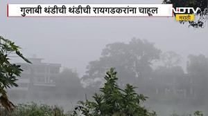 Pune Crime News | पत्नीची हत्या करून मृतदेह भट्टीत जाळला, वारजे माळवाडी पोलिसांकडून उलगडा