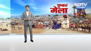 Pushkar Mela 2025: कोई भक्ति में तो कोई मस्ती में... संस्कृति, विरासत, अनोखा संगम | Rajasthan News