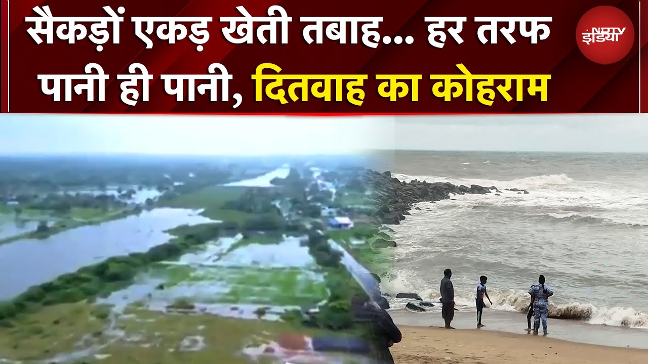 Ditwah Cyclone: भारत पहुंचा दितवाह तूफान, खेती तबाह, हर तरफ पानी... कितना हुआ नुकसान | NDTV India