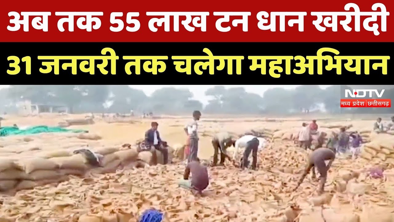 Chhattisgarh News : अब तक 55 लाख टन Dhan खरीदी, 31January तक चलेगा महाअभियान