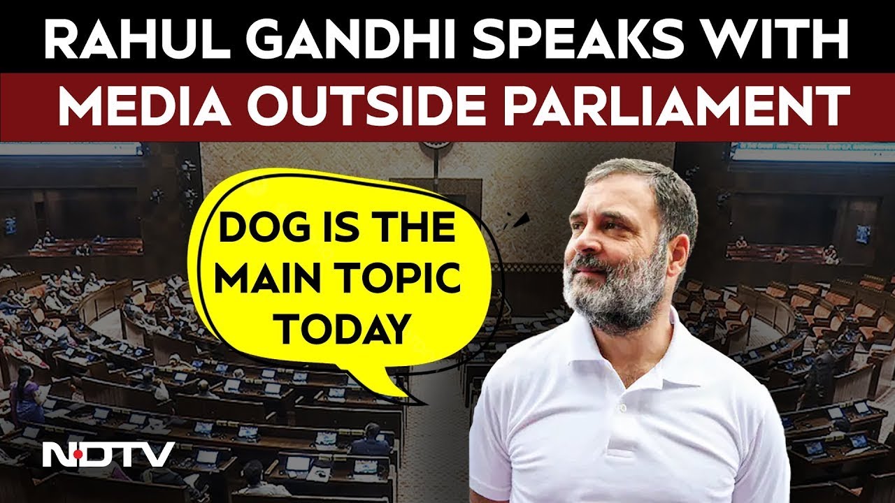 "Dog Is The Main Topic…": Rahul Gandhi Takes Jibe At Union Govt