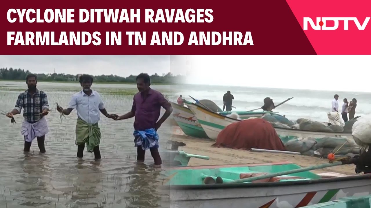Cyclone Ditwah Ravages Farmlands in Tamil Nadu and Andhra Pradesh