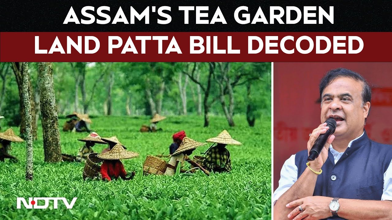 Assam Land Patta Bill | What Assam Tea Garden Land Patta Bill Means for the State ?
