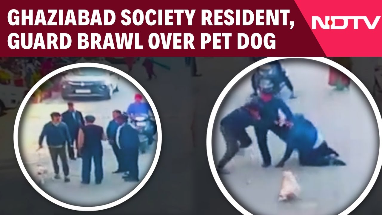 UP News | Ghaziabad Apartment Resident, Security Guard Brawl Over Pet Dog