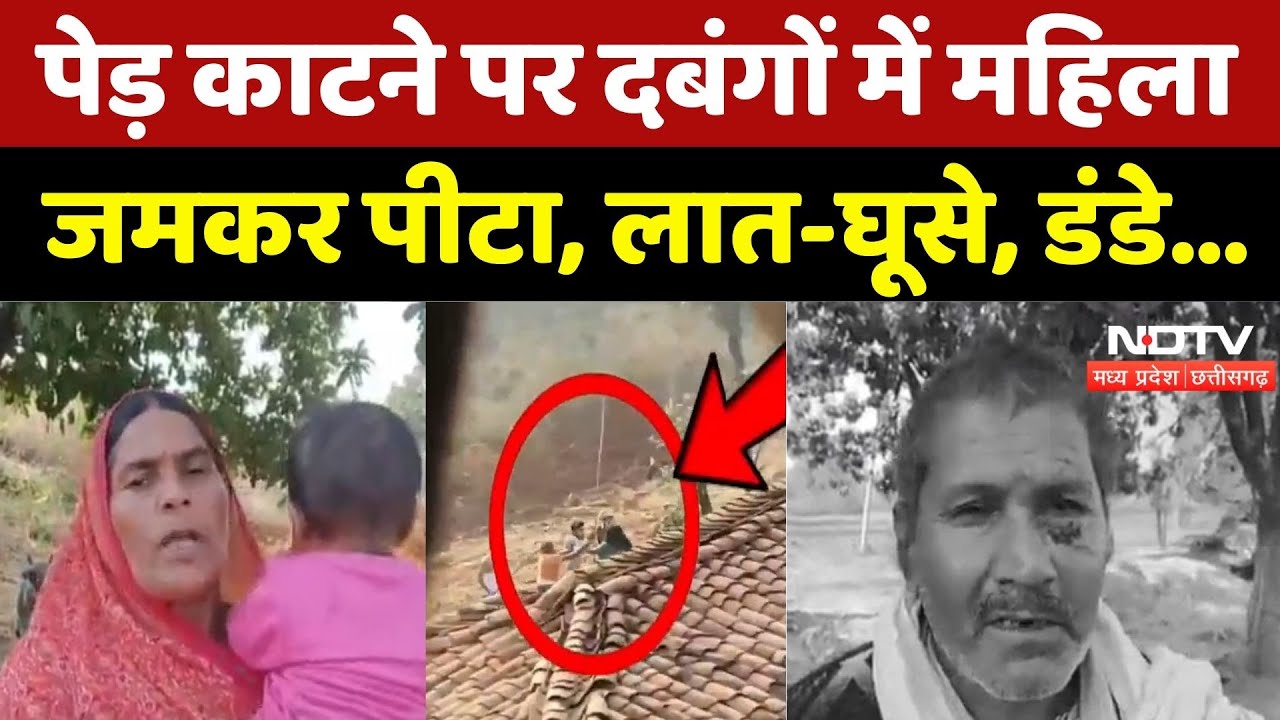 Mauganj News: पेड़ काटने पर बवाल, महिला को जमकर पीटा! | MP News | Top News | MPCG | Latest | Viral