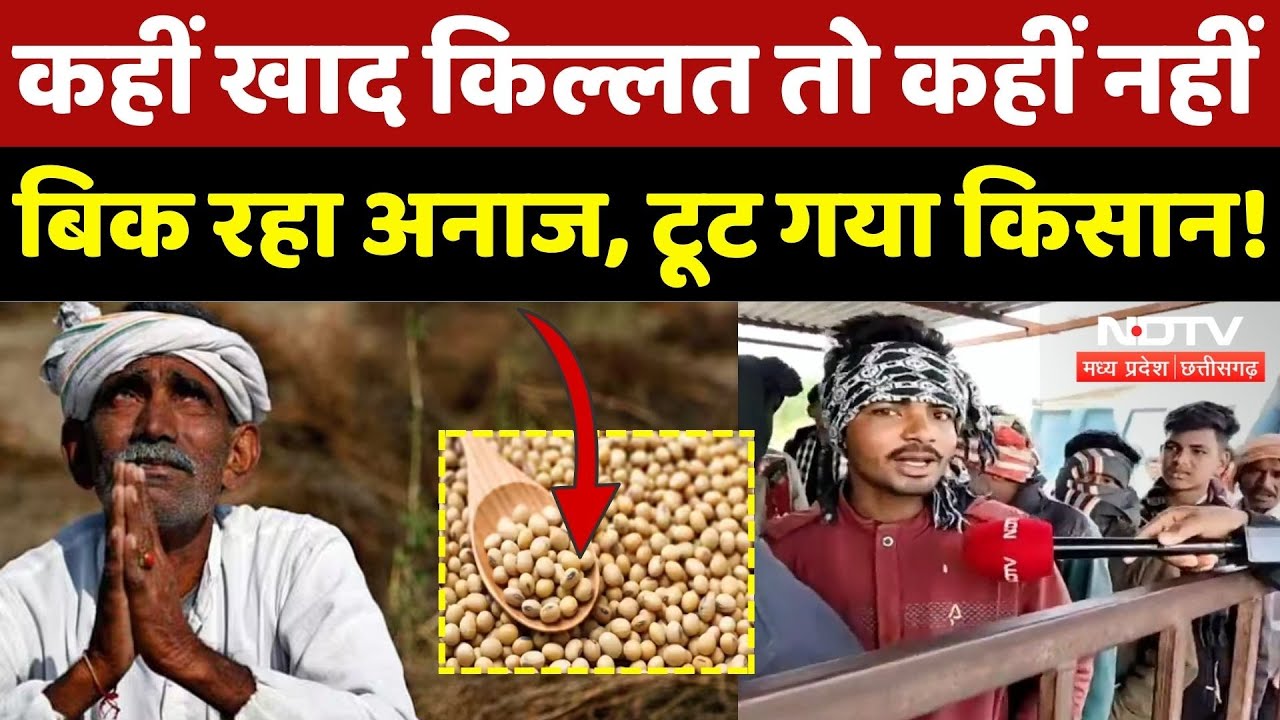 Farmers News: Madhya Pradesh के किसानों का क्यों फूटा गुस्सा? | MSP Rate | Crops | Fertilizer Crisis