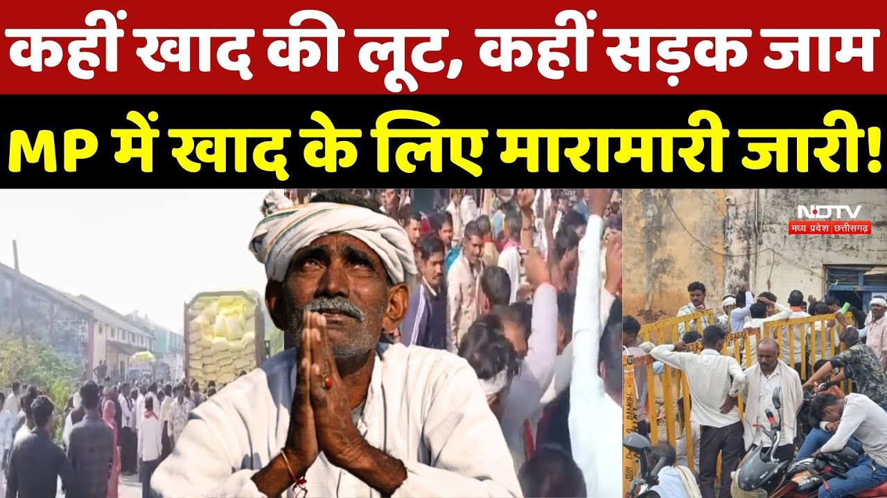 Fertilizer Crisis In MP: कहीं खाद की लूट, कहीं सड़क जाम, MP में खाद के लिए मारामारी जारी!