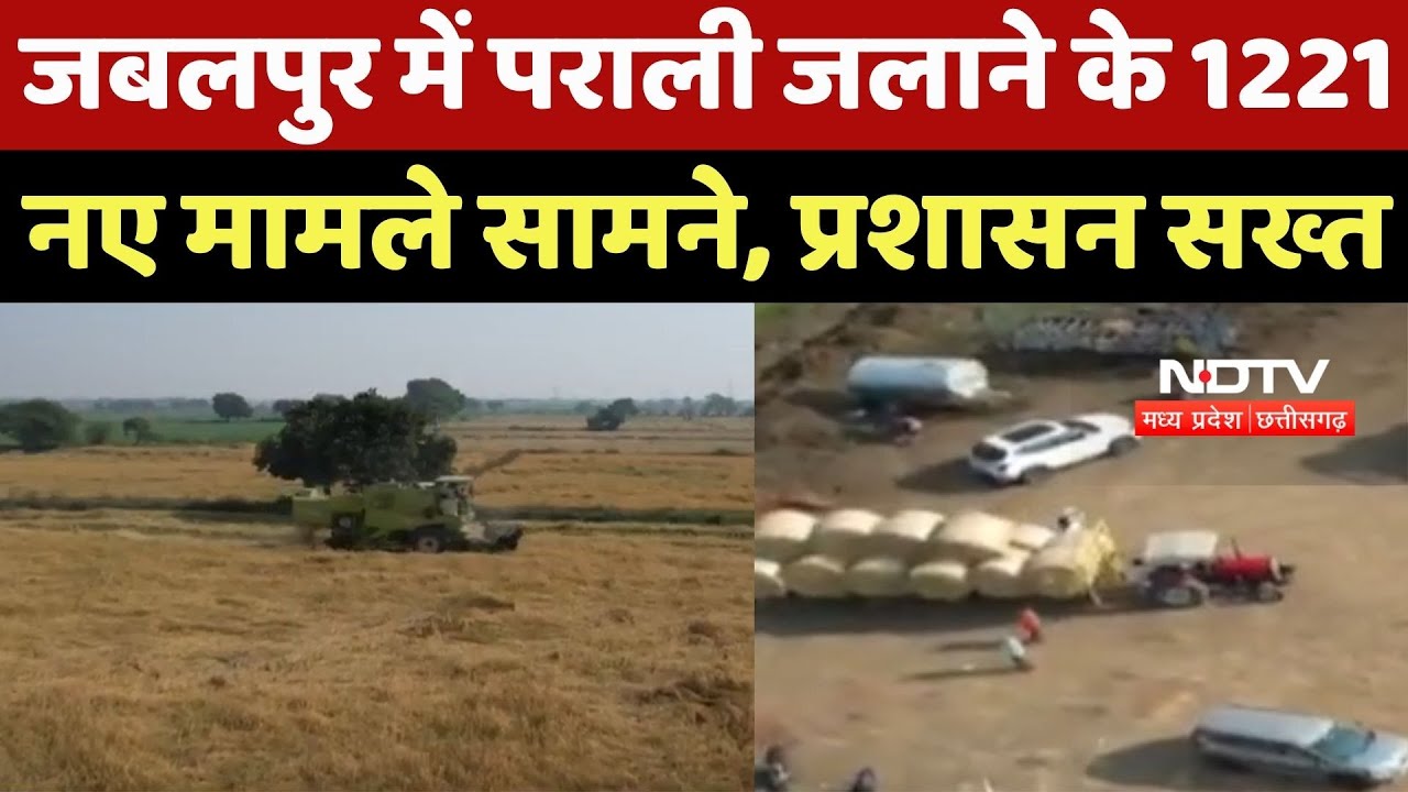 Jabalpur News : जबलपुर में पराली जलाने के 1221 नए मामले सामने, Administration Strict