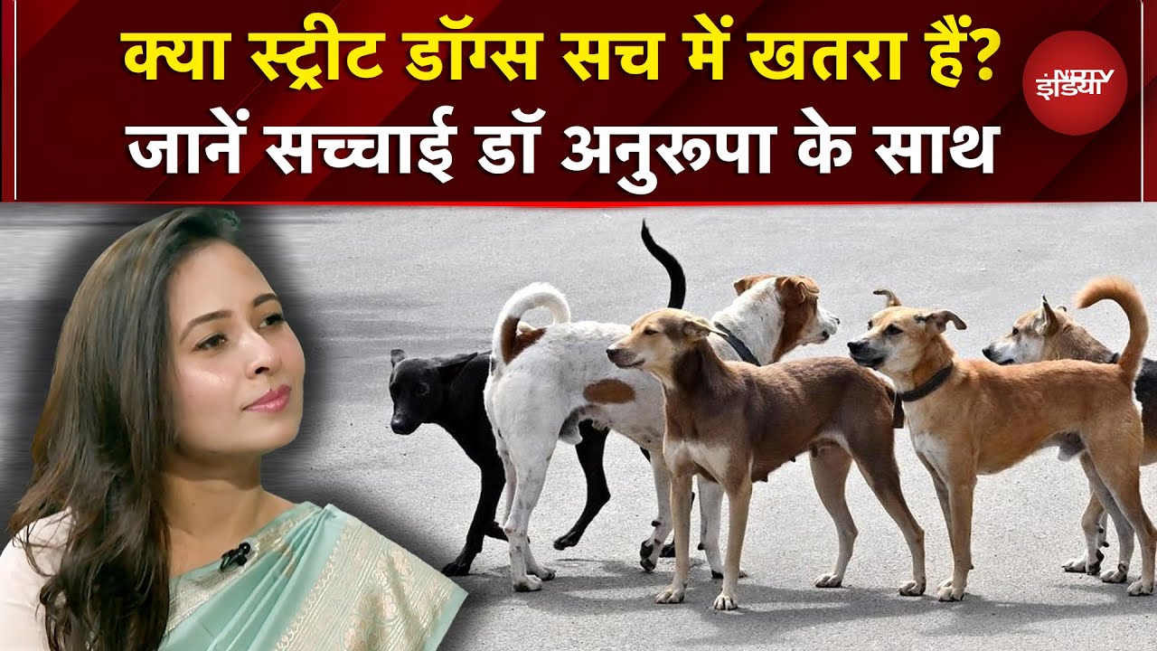 Dog Bites, Safety और विज्ञान की सच्चाई समझें Dr. Anurupa Roy के साथ | Stray Dogs | Dog Attack