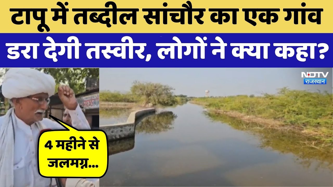 Sanchore News: टापू में तब्दील सांचौर का Bichhawadi village, डरा देगी तस्वीर| Viral | Flood । NDTV