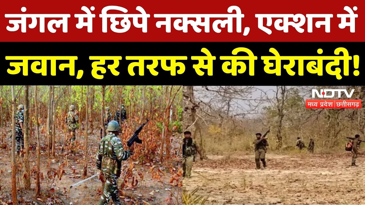 Anti Naxal Operation: जंगल में छिपे नक्सली, एक्शन में जवान, हर तरफ से की घेराबंदी! NDTV MPCG News