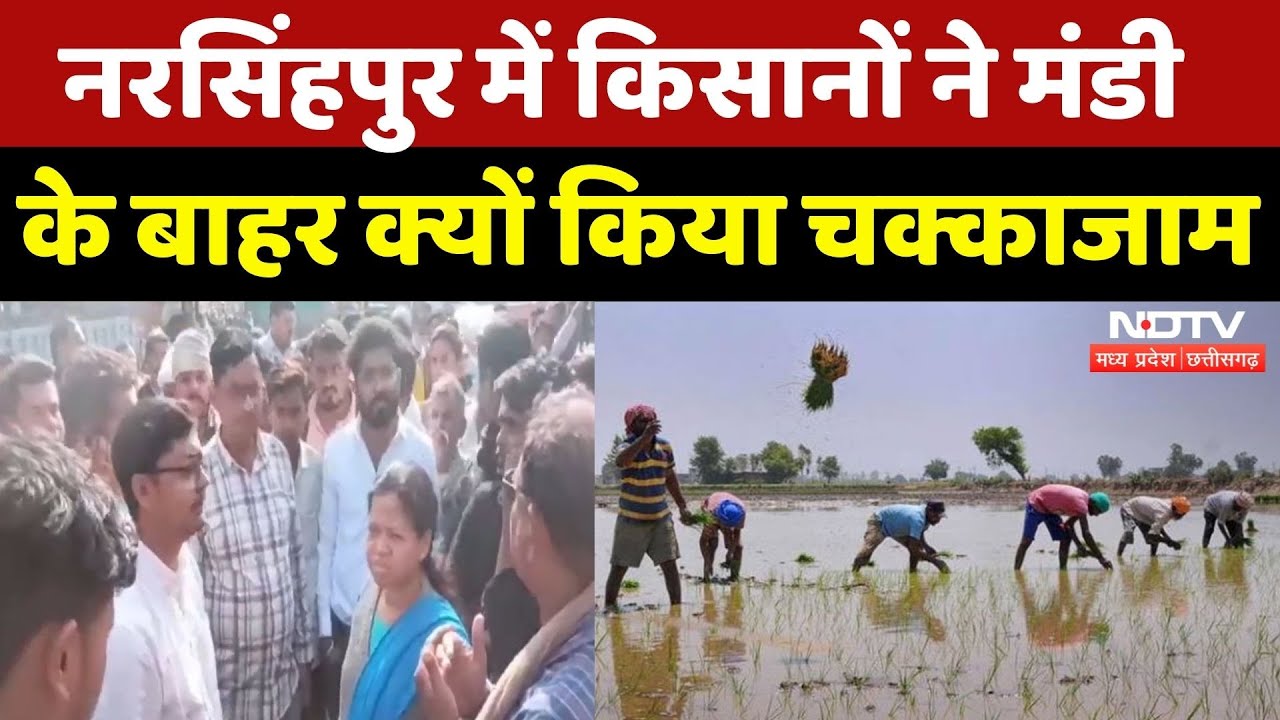 MP Farmers News: Narsinghpur में किसानों ने मंडी के बाहर क्यों किया चक्काजाम | Protest | MP News